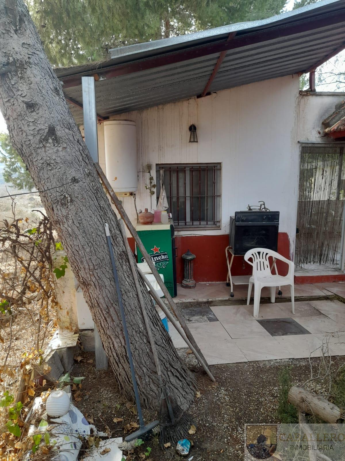 Venta de finca de recreo en Murcia