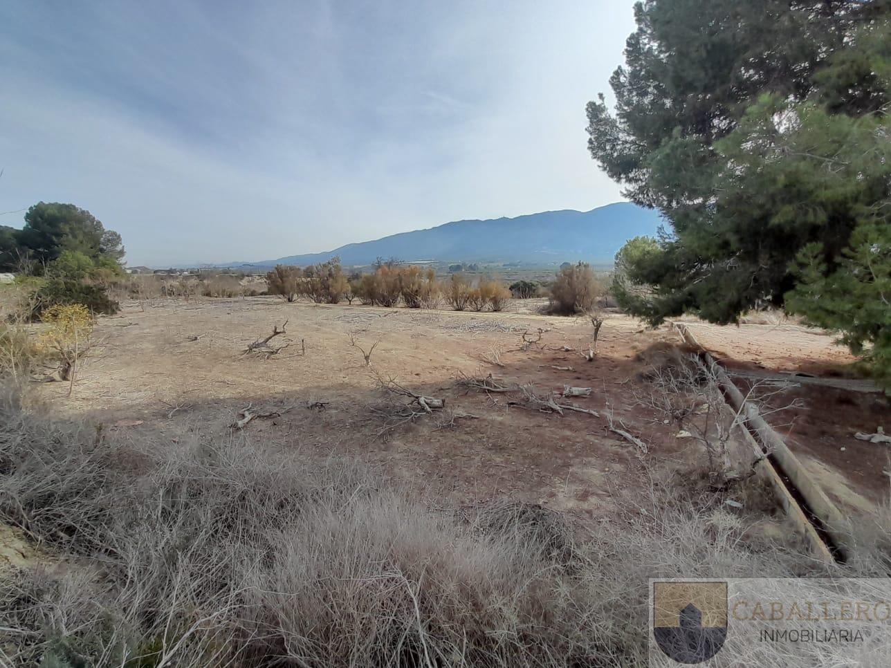 Venta de finca de recreo en Murcia
