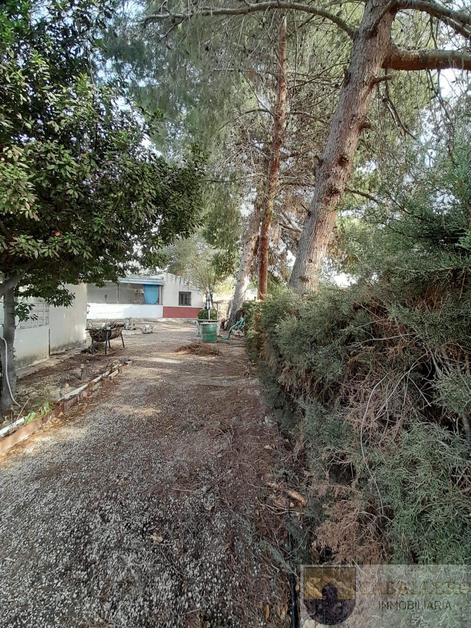 Venta de finca de recreo en Murcia Venta de finca de recreo en Murcia