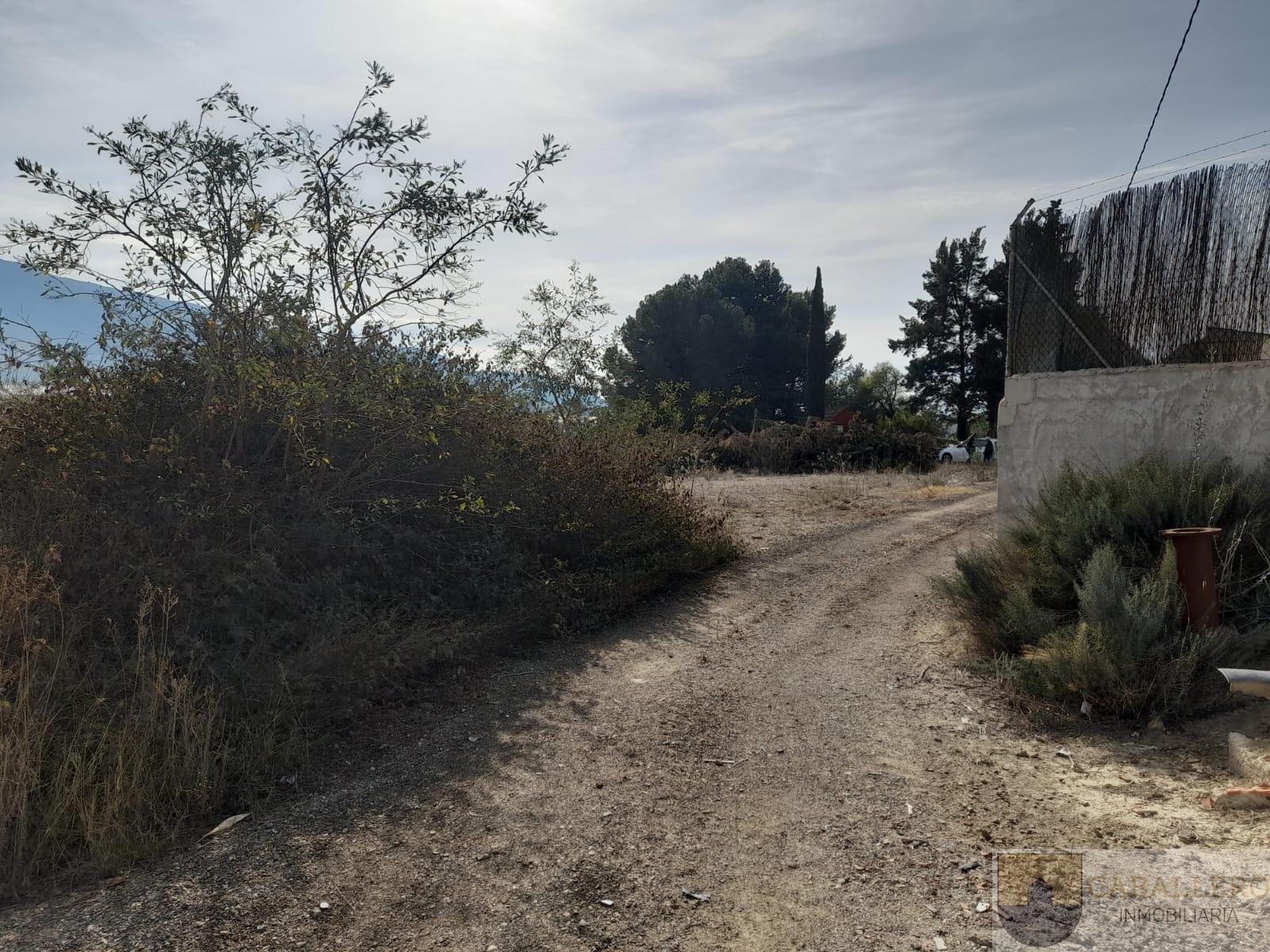 For sale of house in Murcia