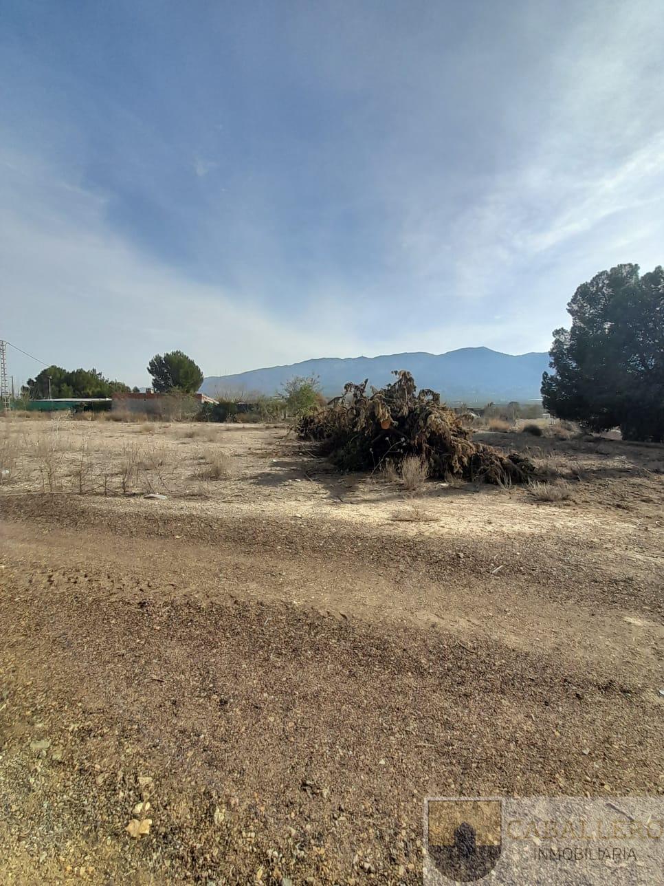 For sale of house in Murcia