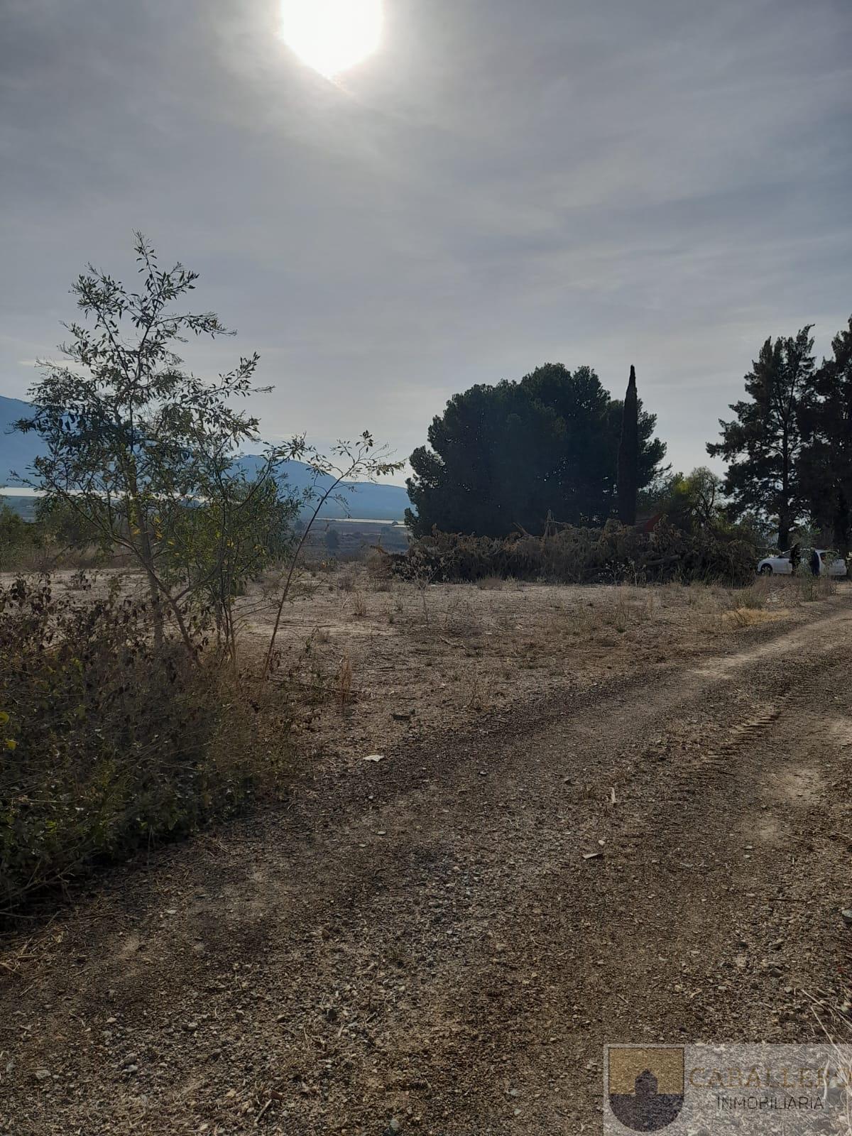 For sale of house in Murcia
