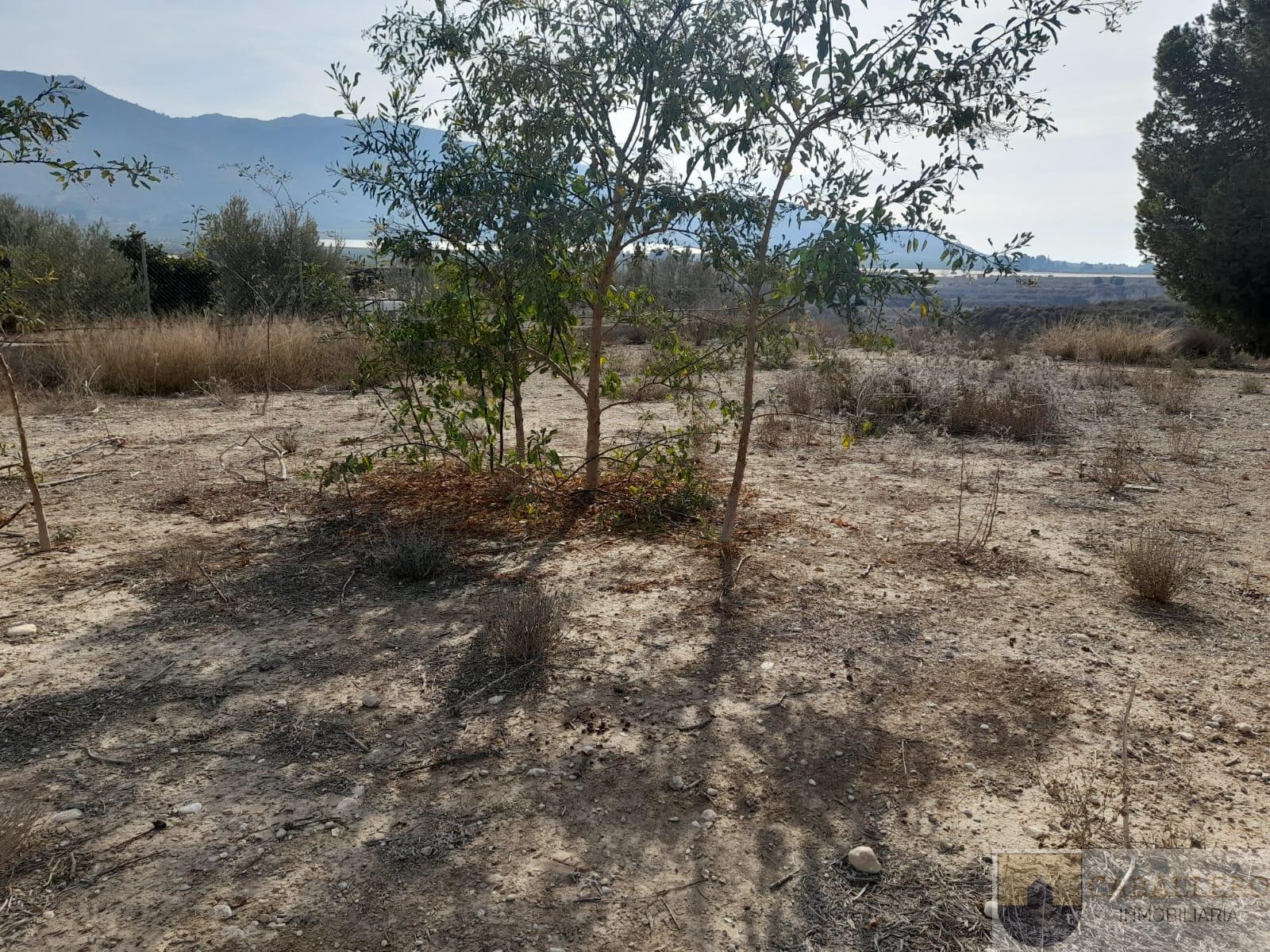 For sale of house in Murcia