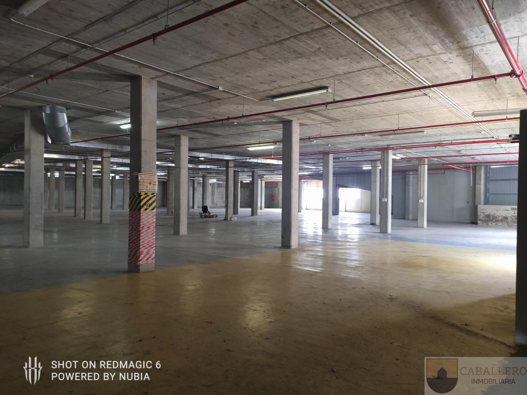 For rent of industrial plant/warehouse in Murcia