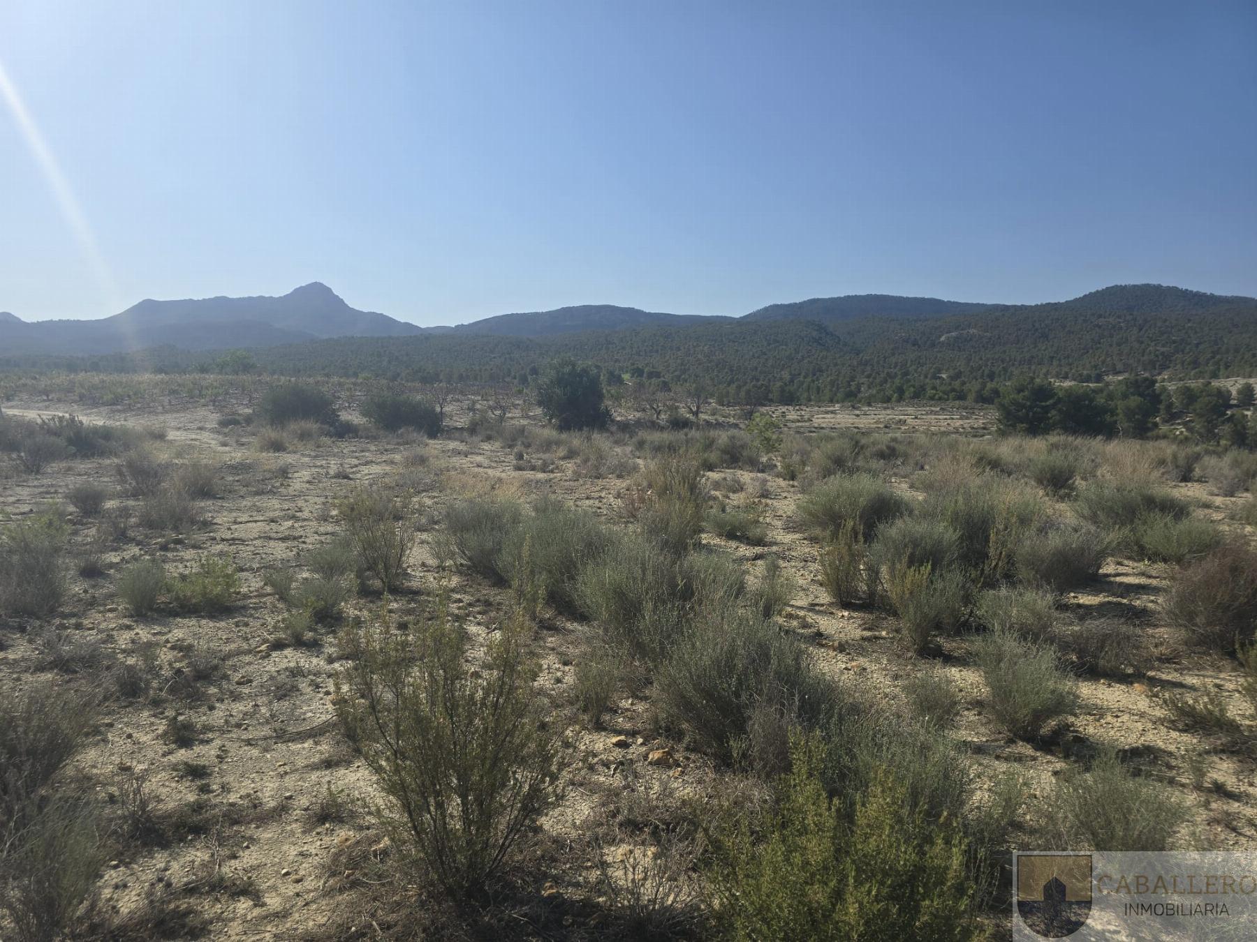 Venta de casa en Murcia