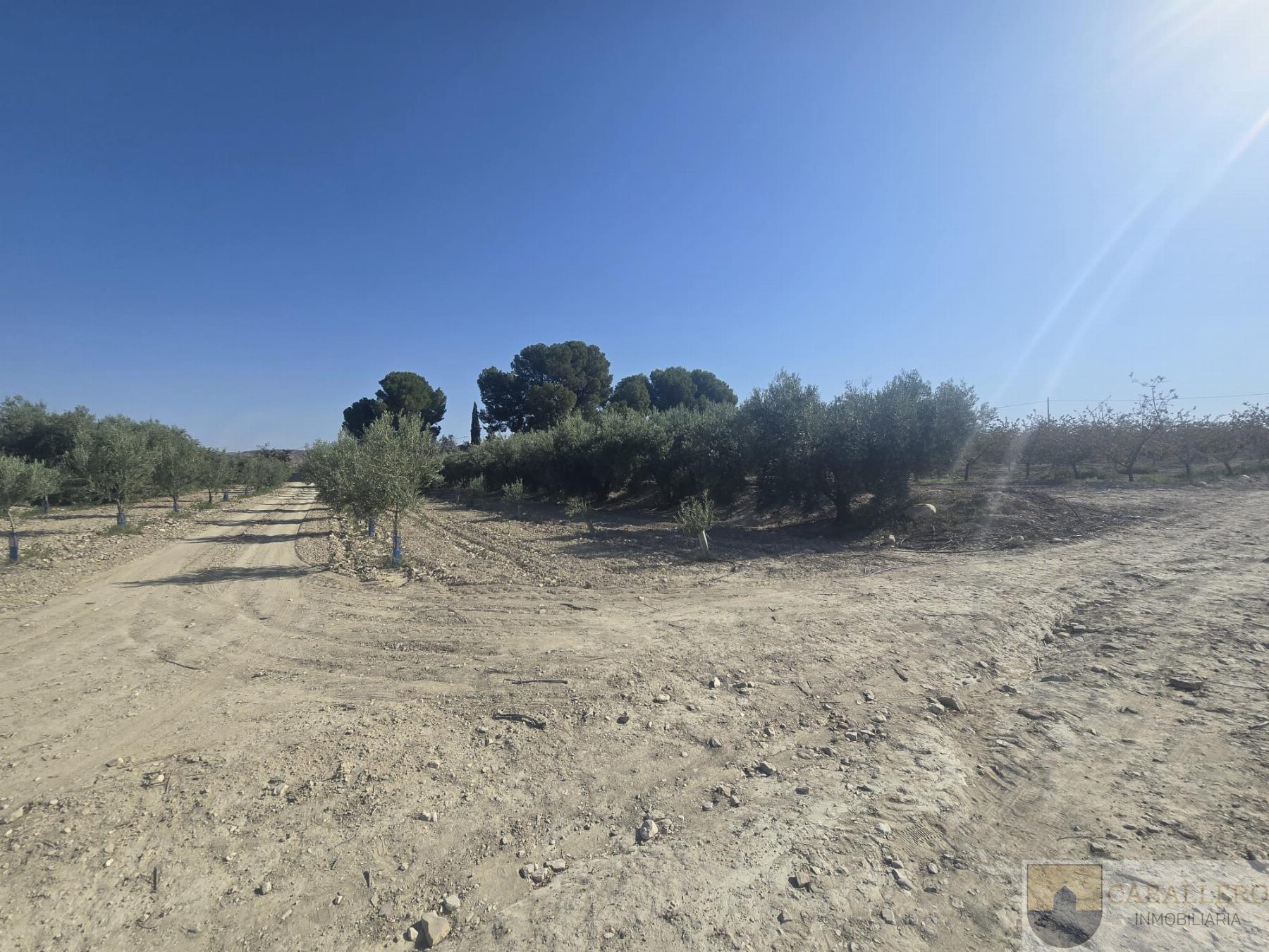 Venta de casa en Murcia