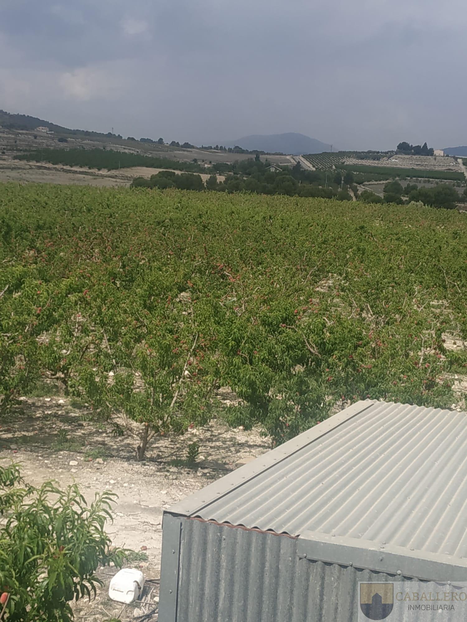 Venta de casa en Murcia