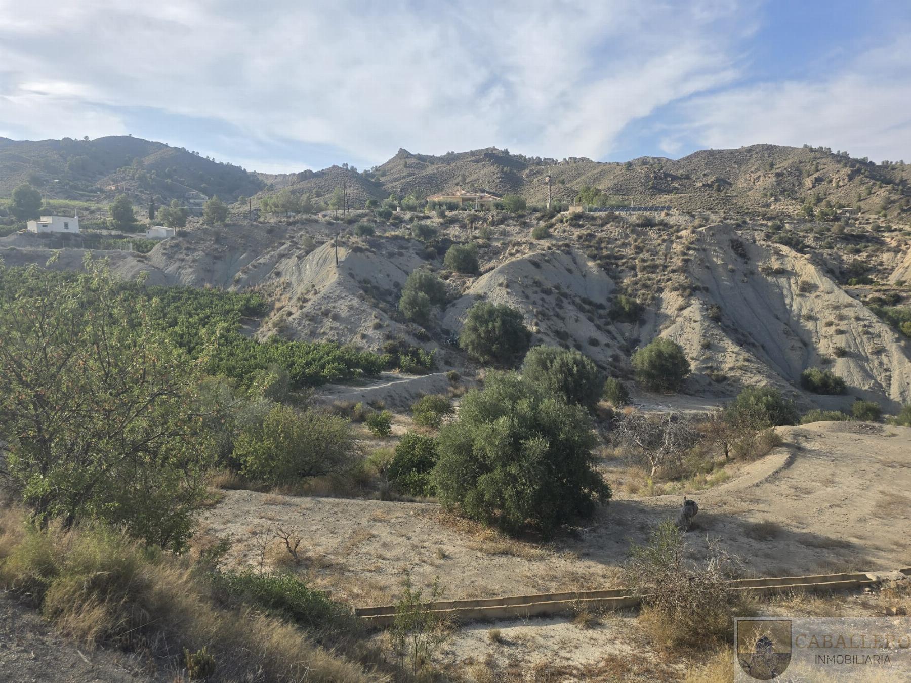 For sale of house in Murcia