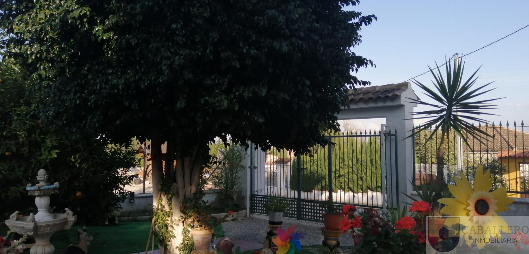For sale of chalet in Murcia