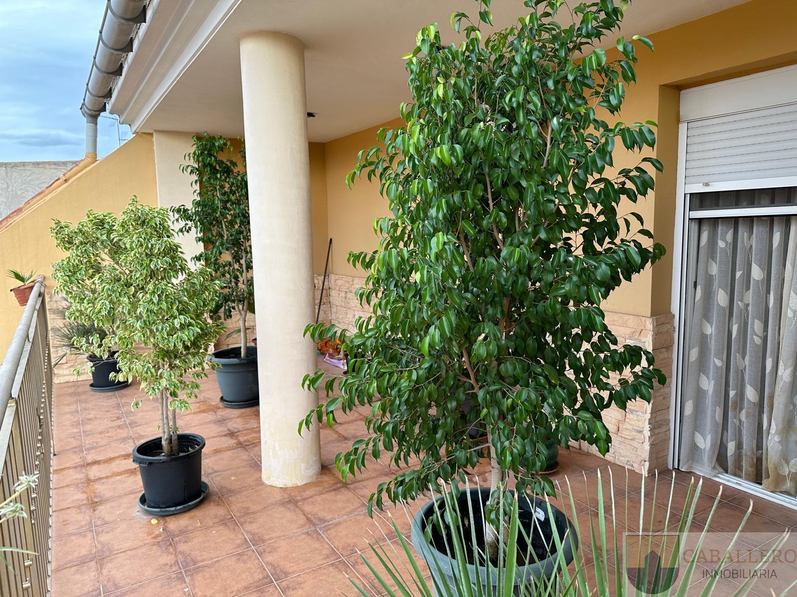 For sale of house in Murcia