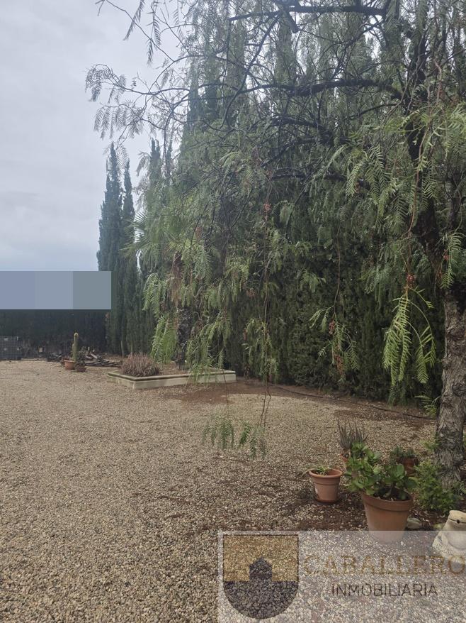 Venta de chalet en Murcia