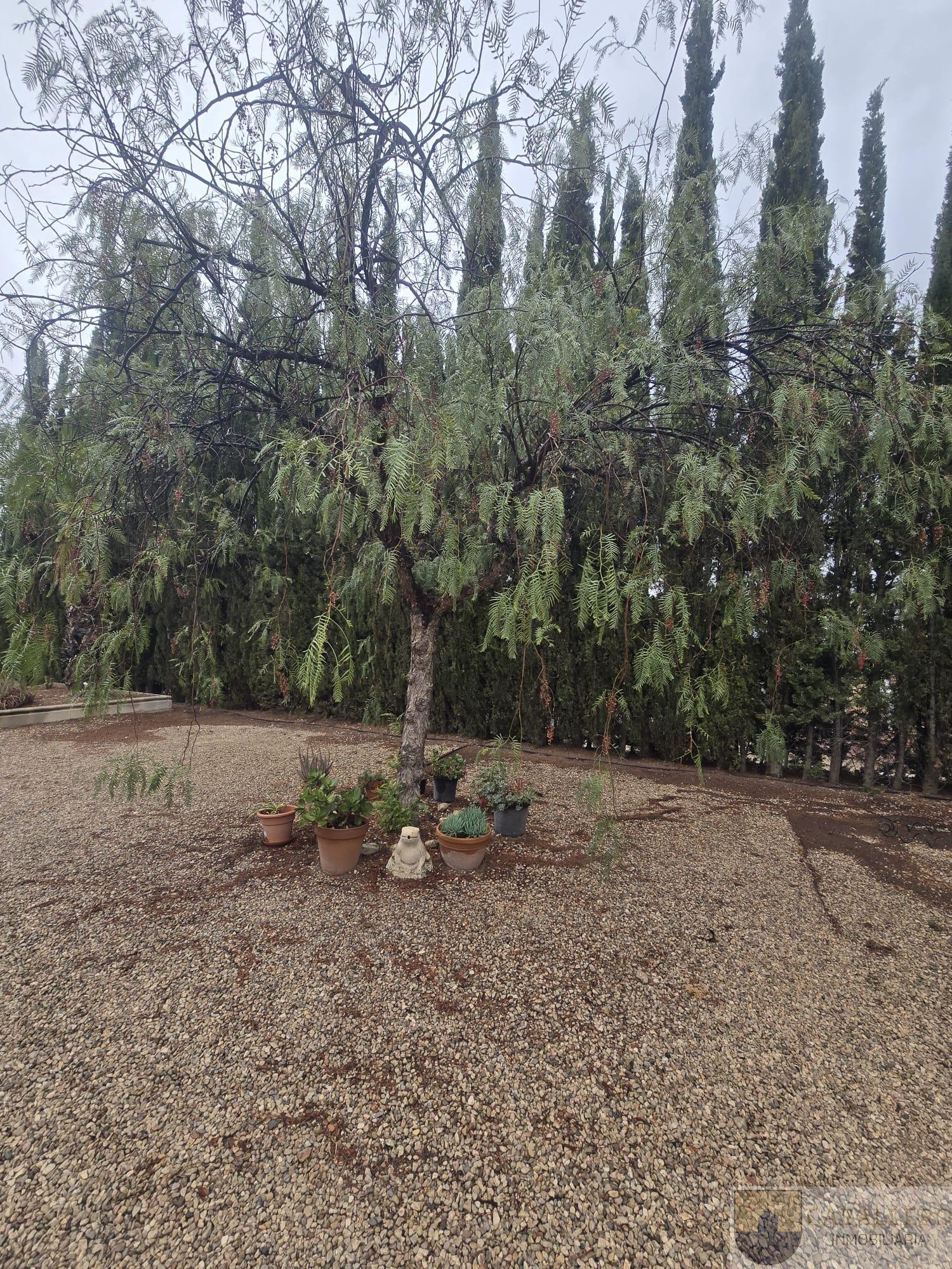 Venta de chalet en Murcia