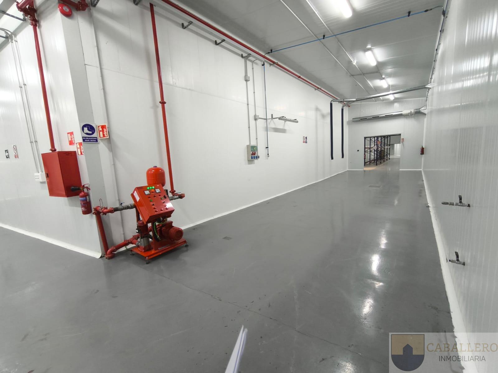 Venta de nave en Murcia