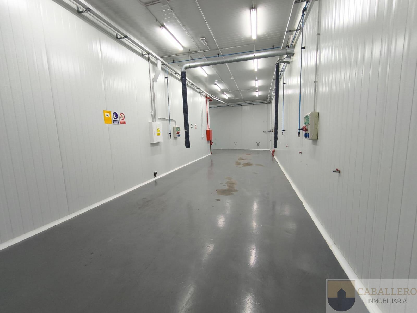 Venta de nave en Murcia