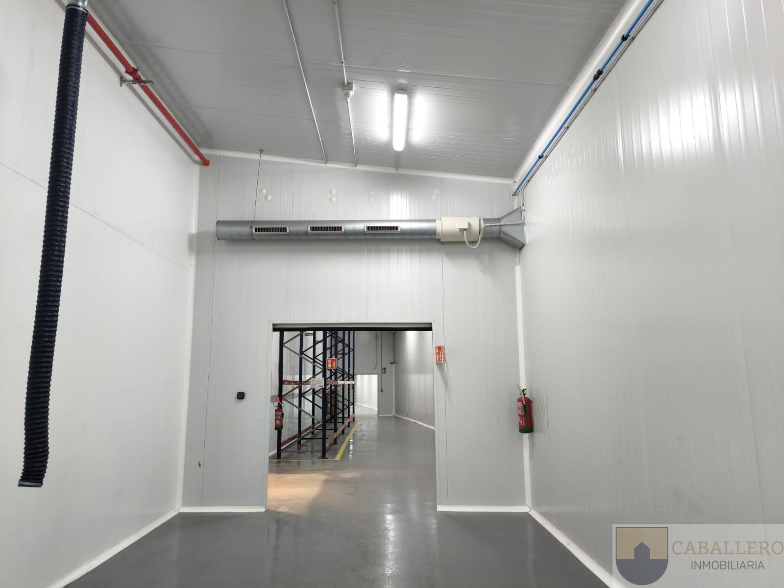 Venta de nave en Murcia