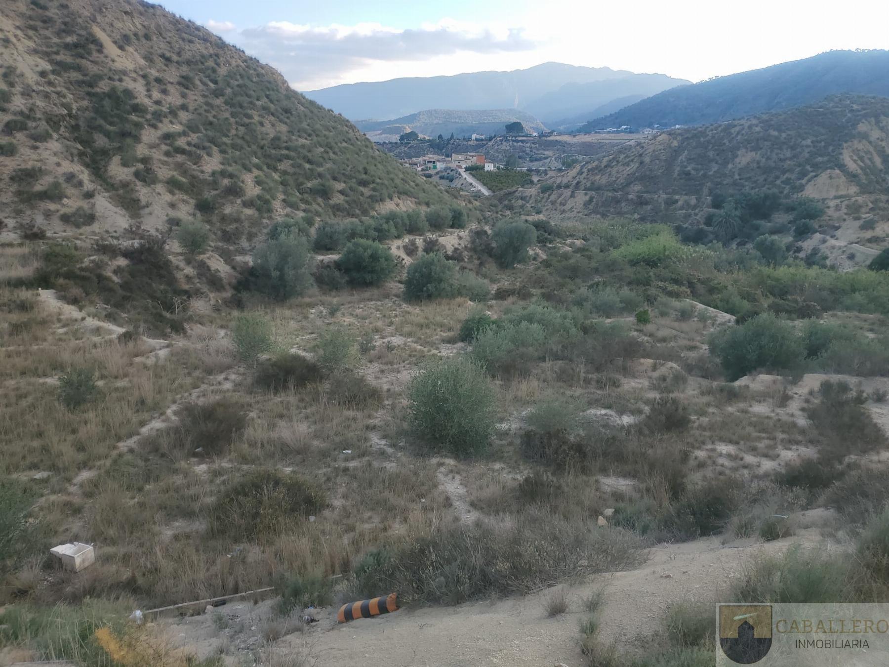 For sale of land in Murcia