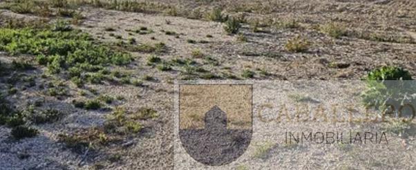 For sale of land in Murcia