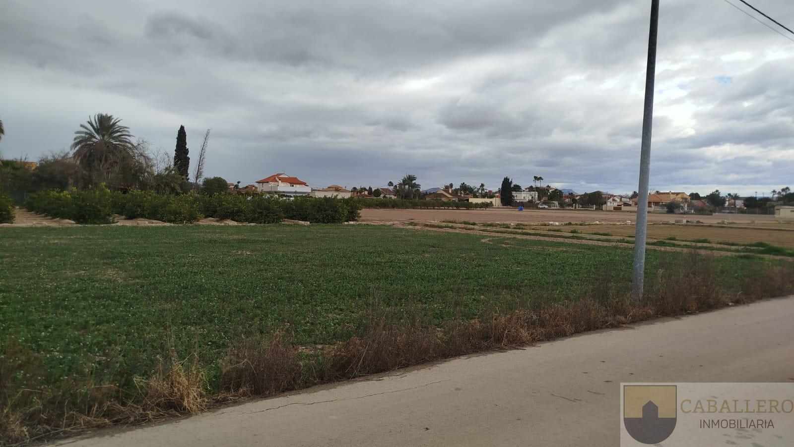 For sale of land in Murcia