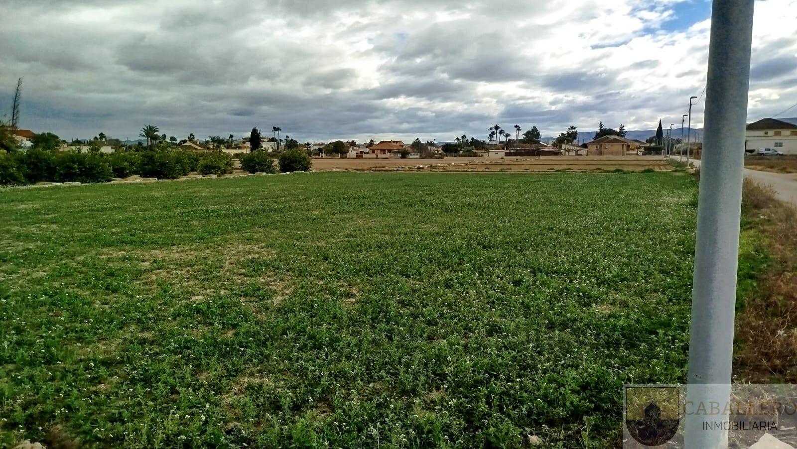 For sale of land in Murcia