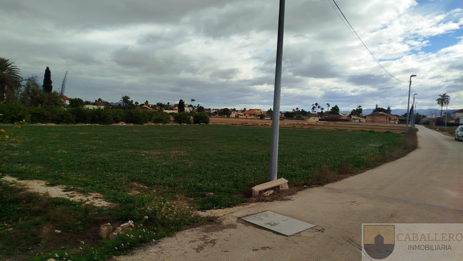 For sale of land in Murcia