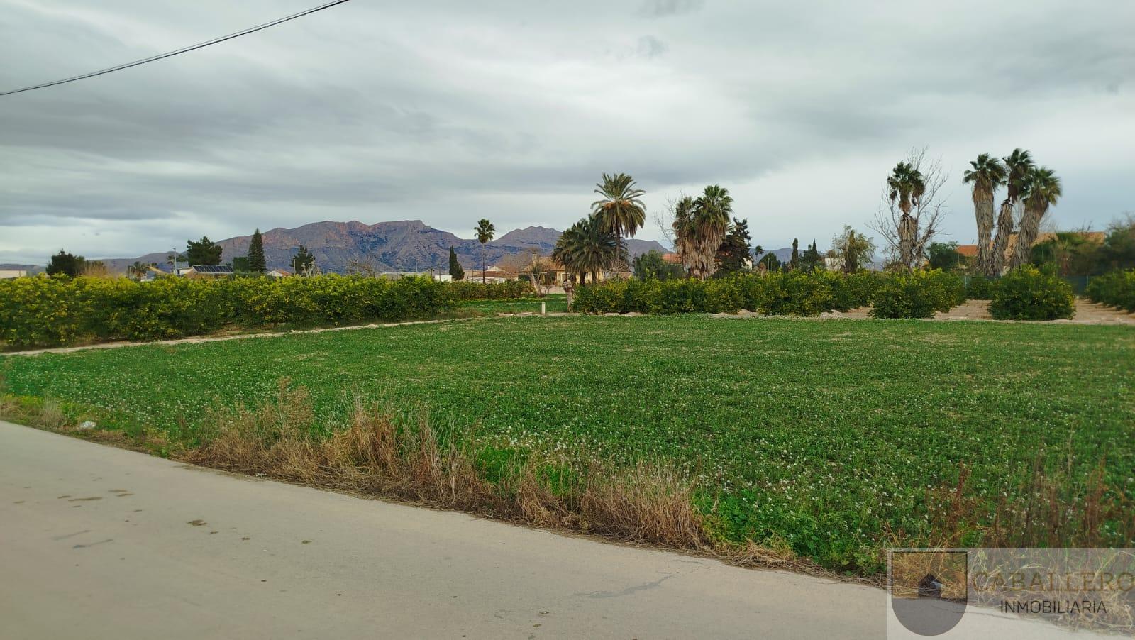 For sale of land in Murcia