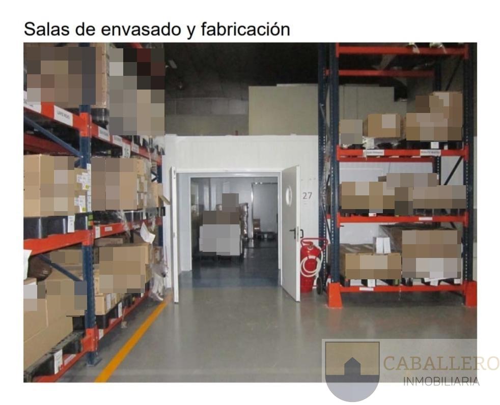 Venta de nave en Alcantarilla