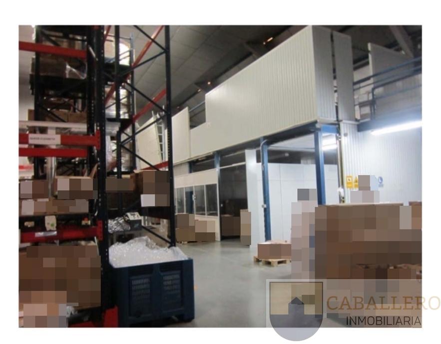 Venta de nave en Alcantarilla