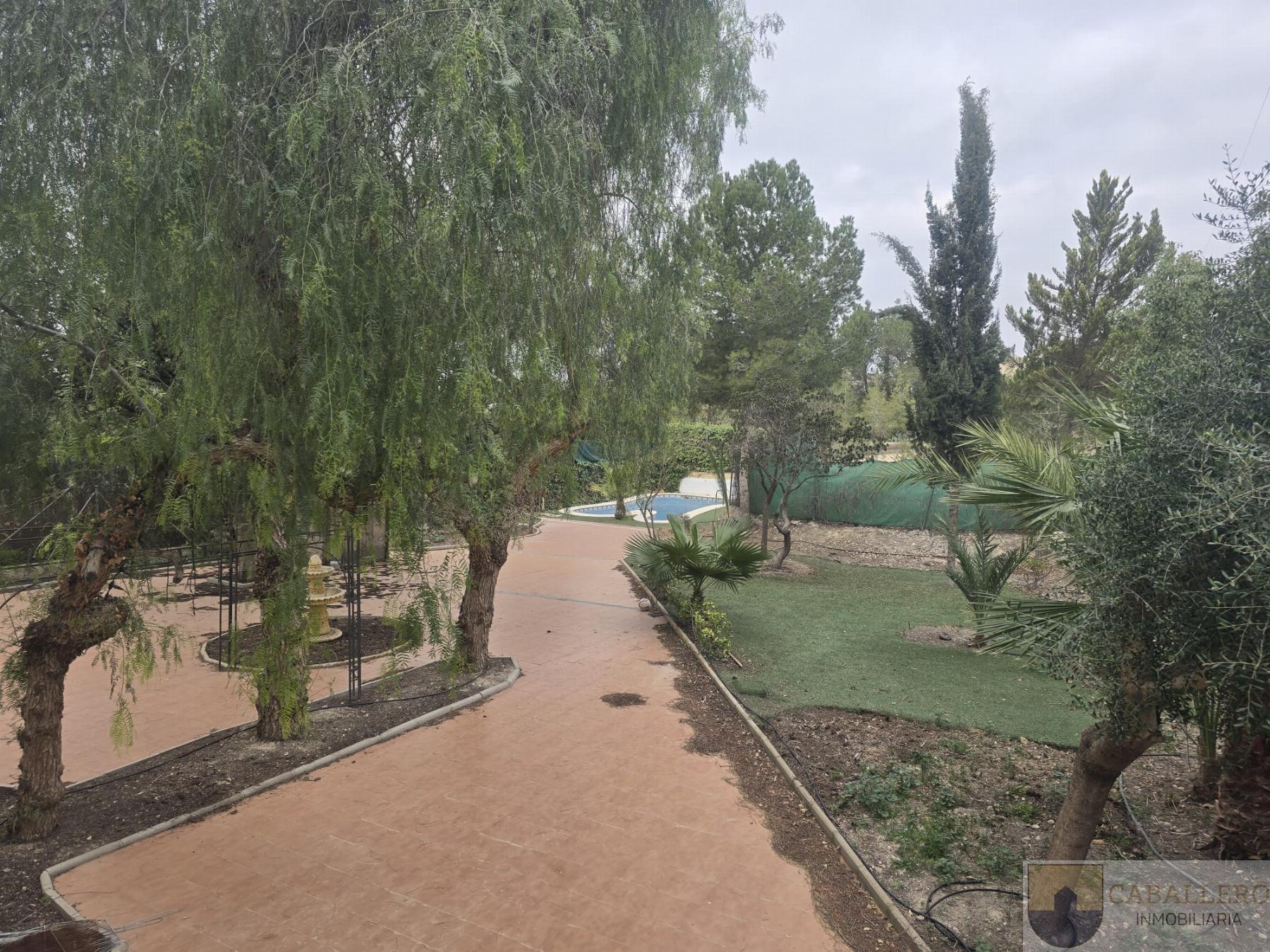 Venta de chalet en Molina de Segura