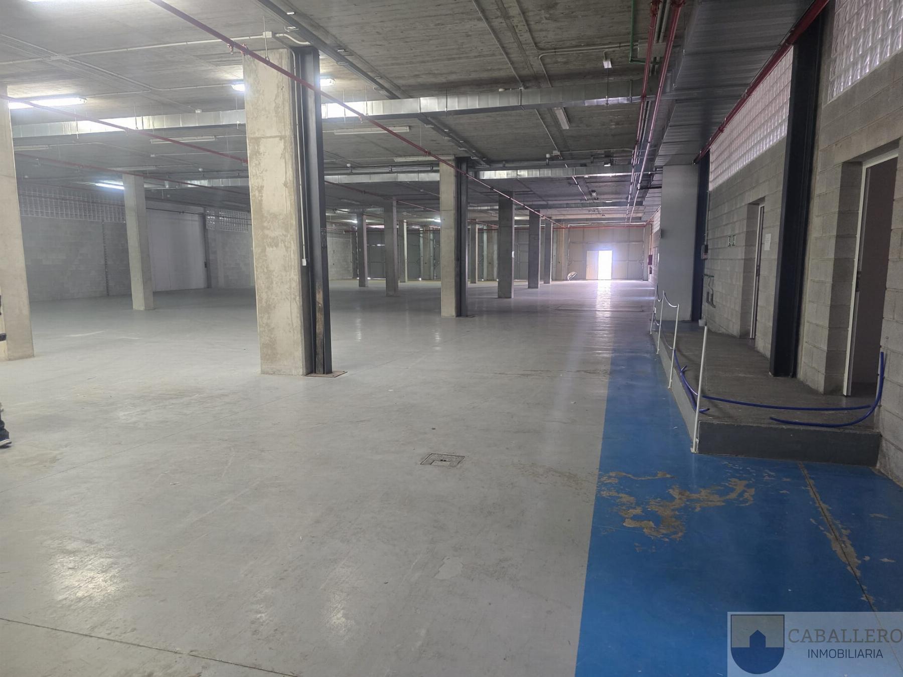 For rent of industrial plant/warehouse in Murcia