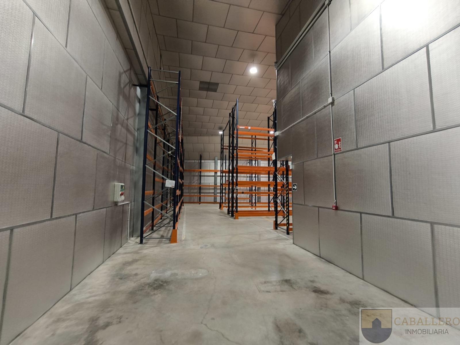 For rent of industrial plant/warehouse in Murcia