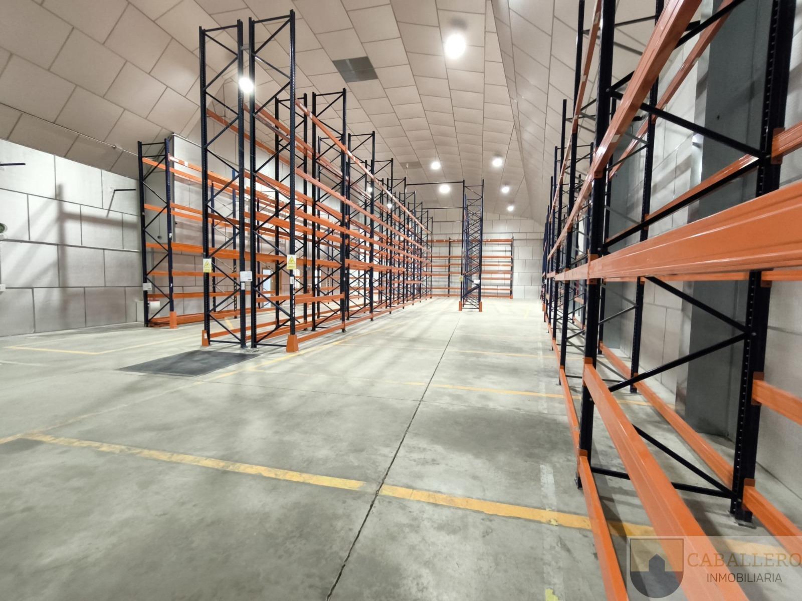For rent of industrial plant/warehouse in Murcia