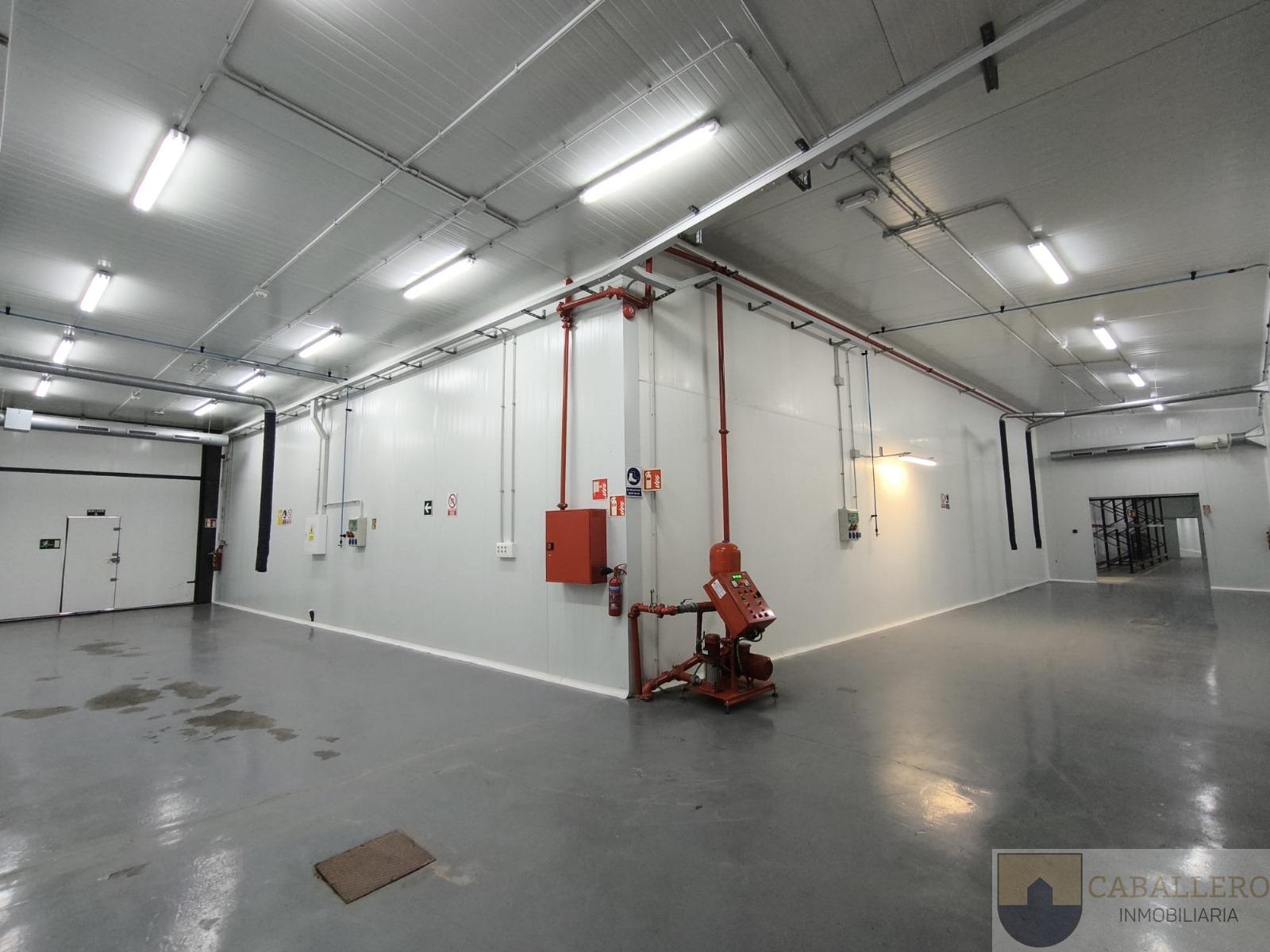 For rent of industrial plant/warehouse in Murcia