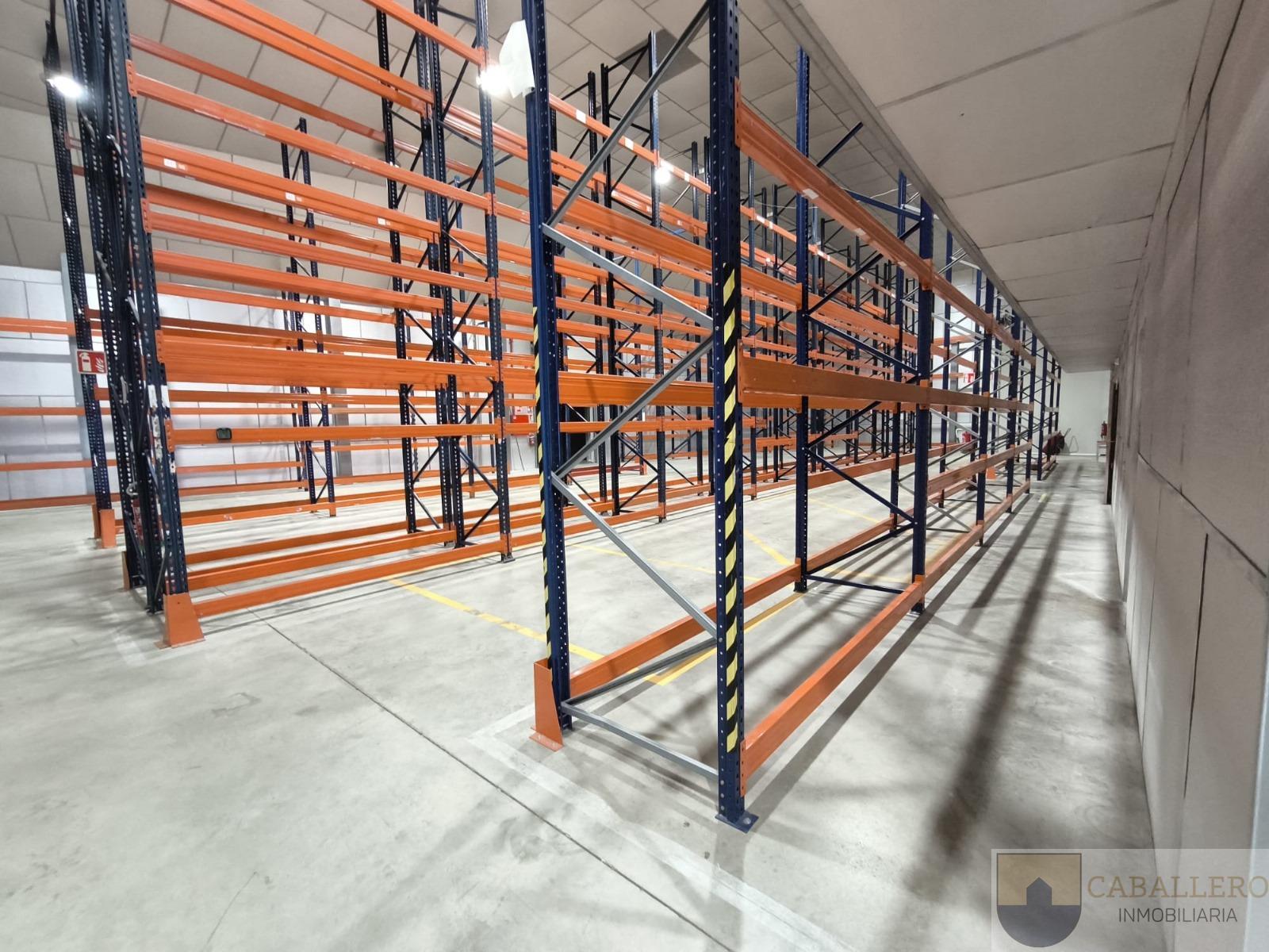 For rent of industrial plant/warehouse in Murcia