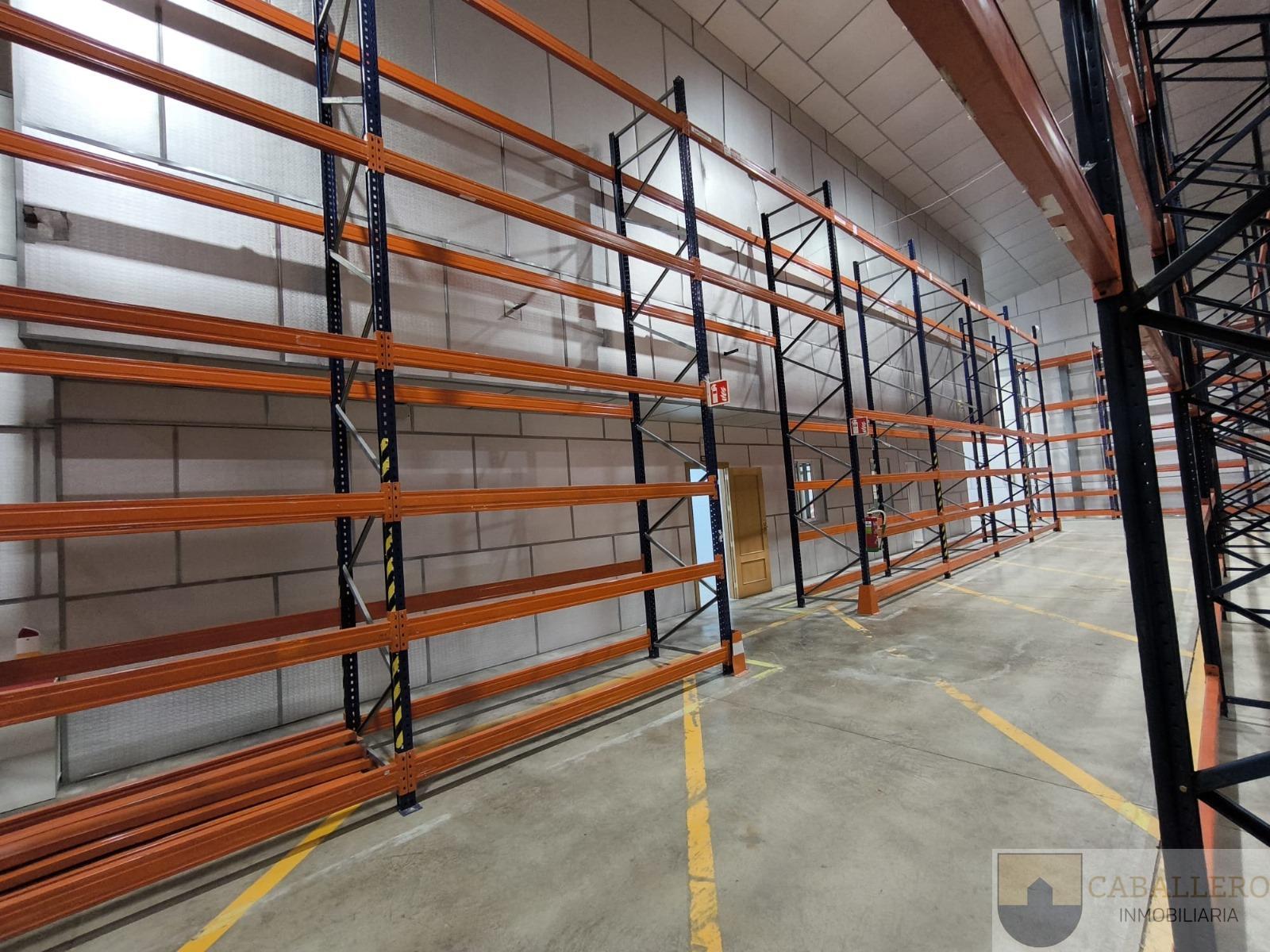 For rent of industrial plant/warehouse in Murcia