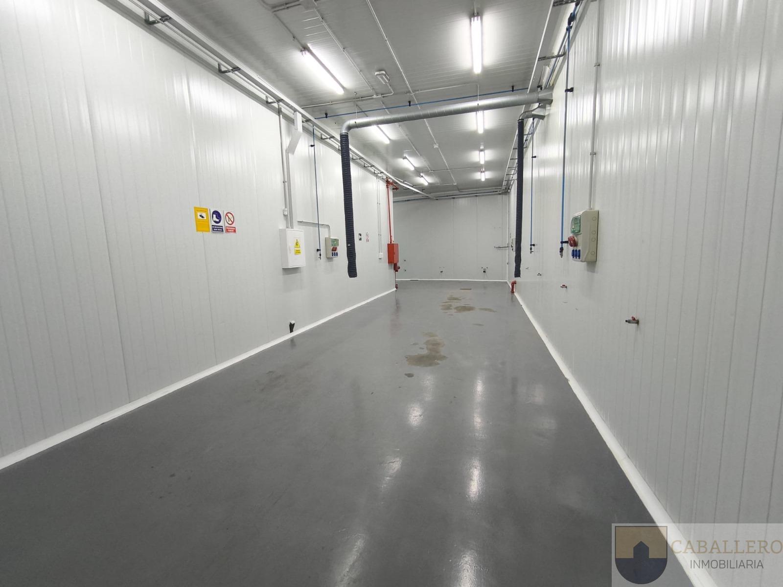 For rent of industrial plant/warehouse in Murcia