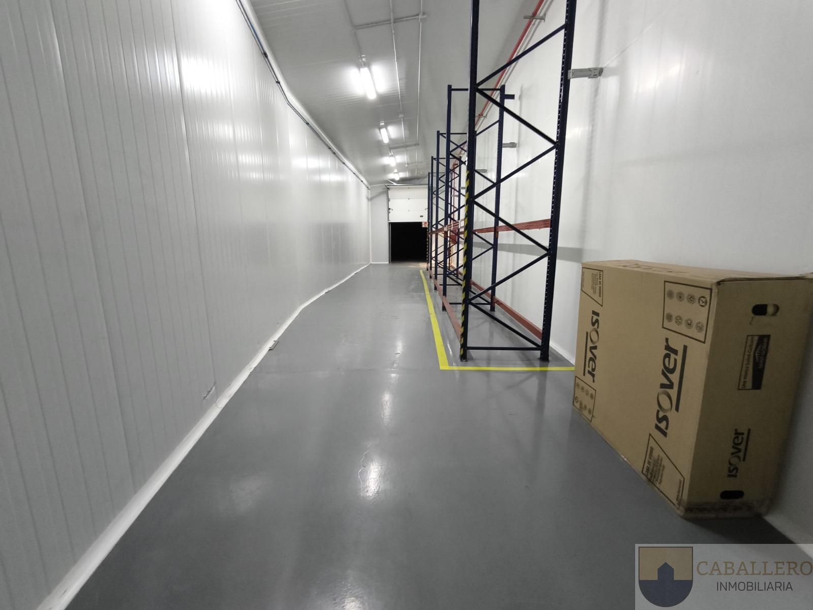 For rent of industrial plant/warehouse in Murcia