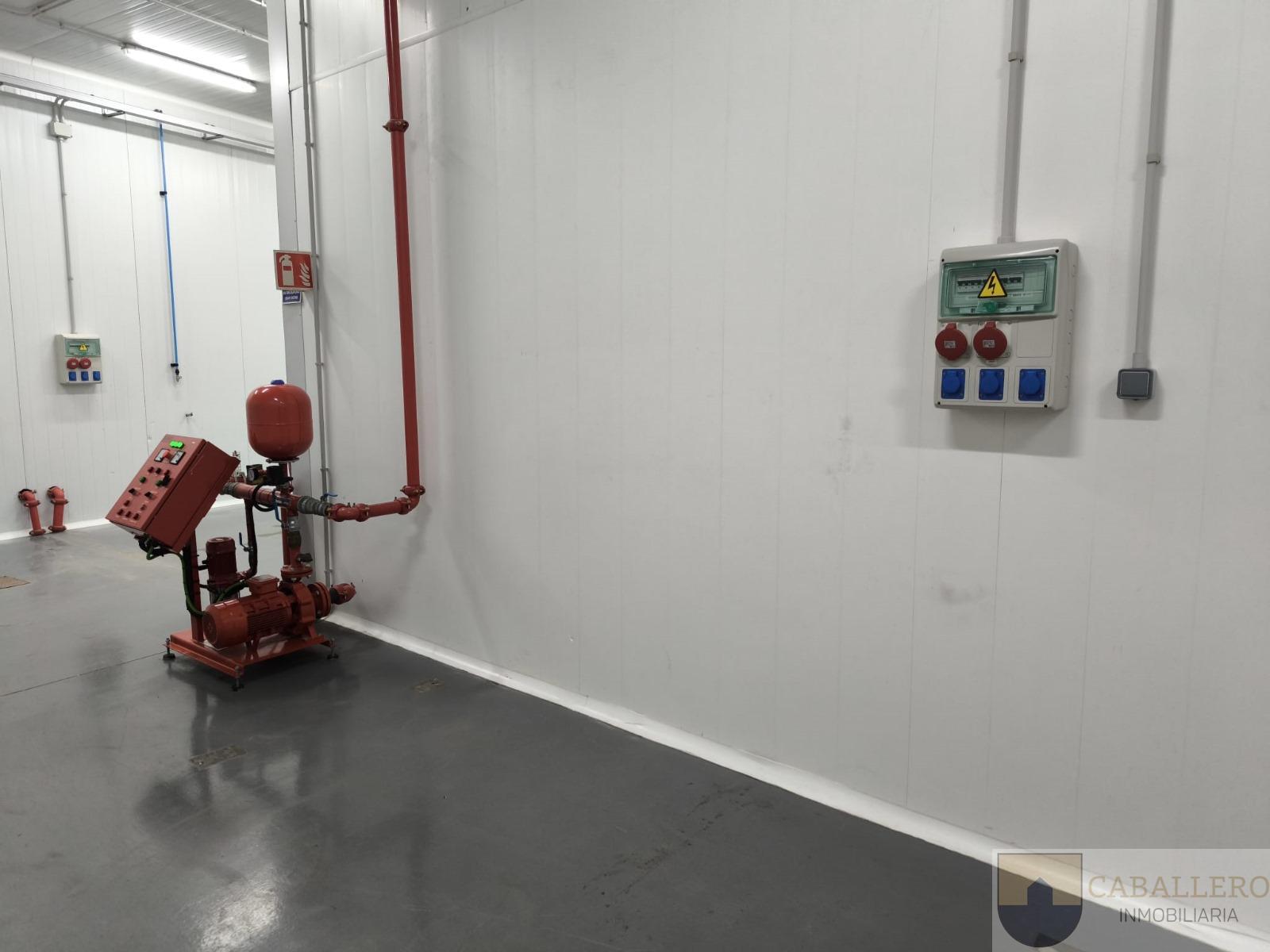 For rent of industrial plant/warehouse in Murcia