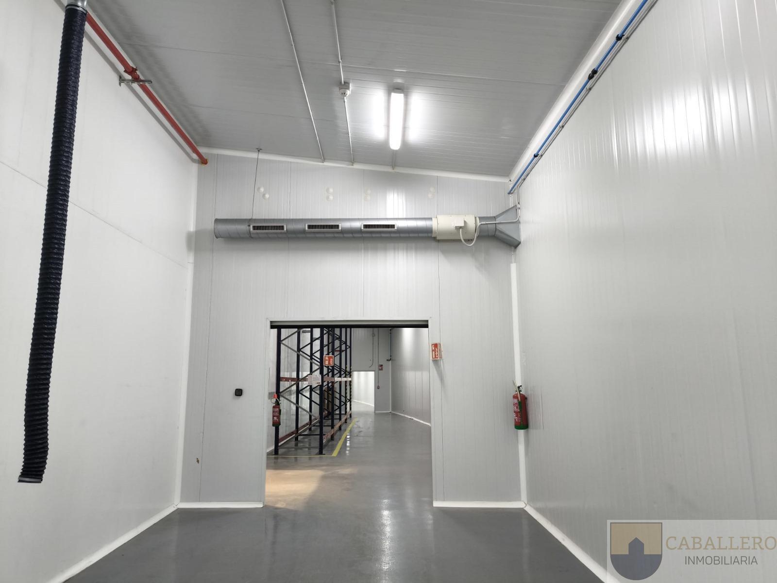For rent of industrial plant/warehouse in Murcia