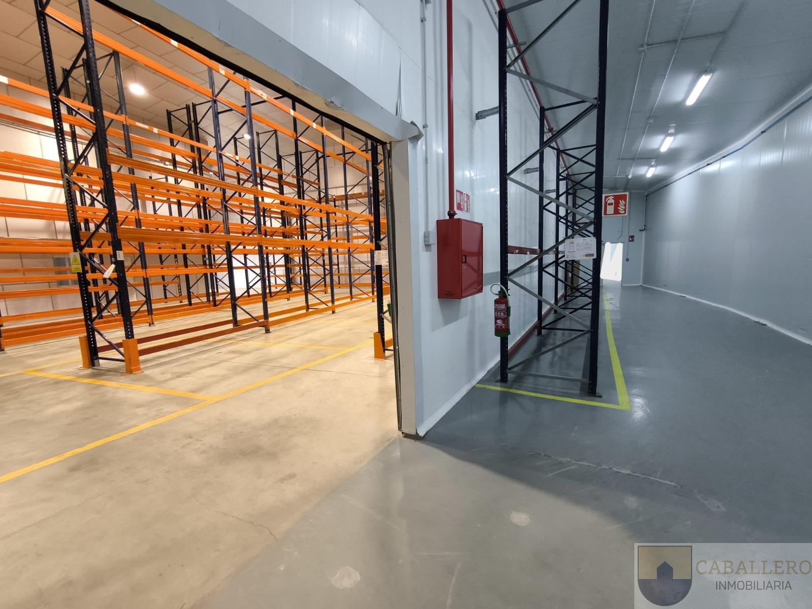 For rent of industrial plant/warehouse in Murcia