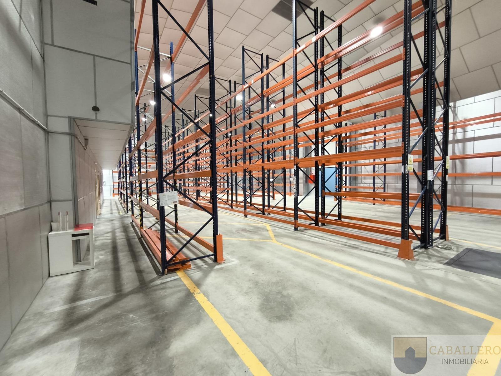 For rent of industrial plant/warehouse in Murcia