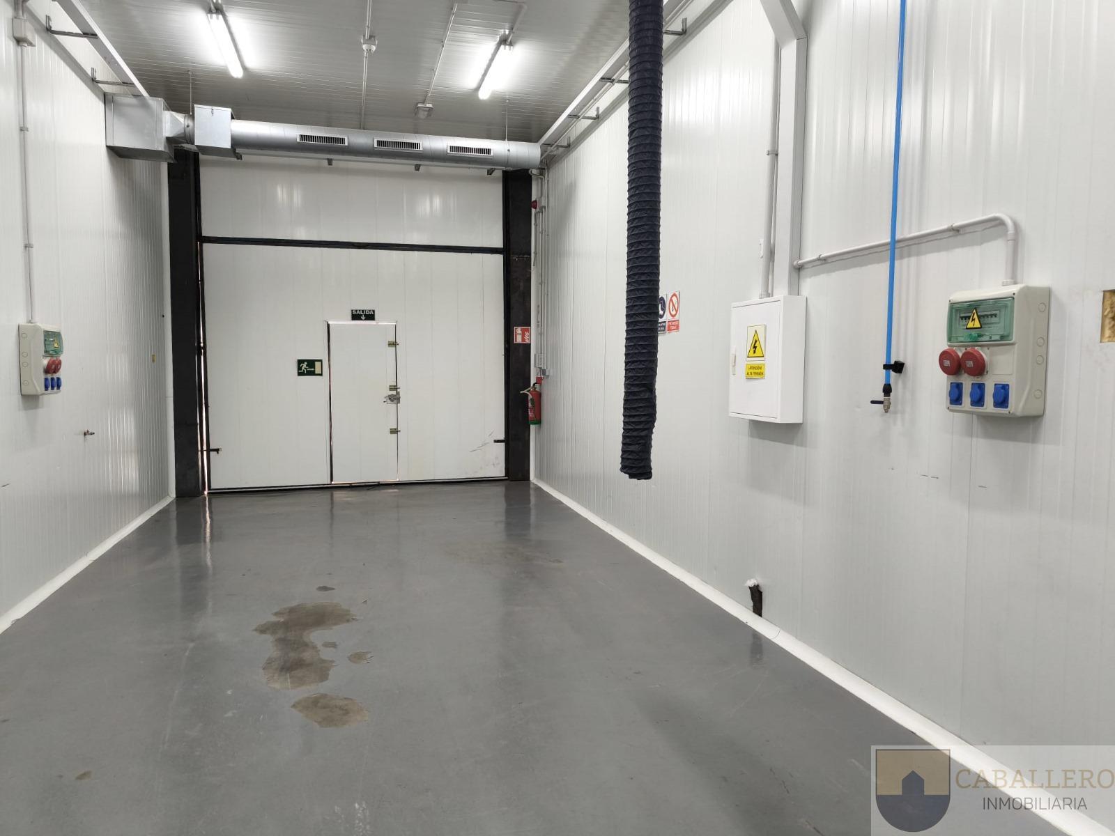 For rent of industrial plant/warehouse in Murcia