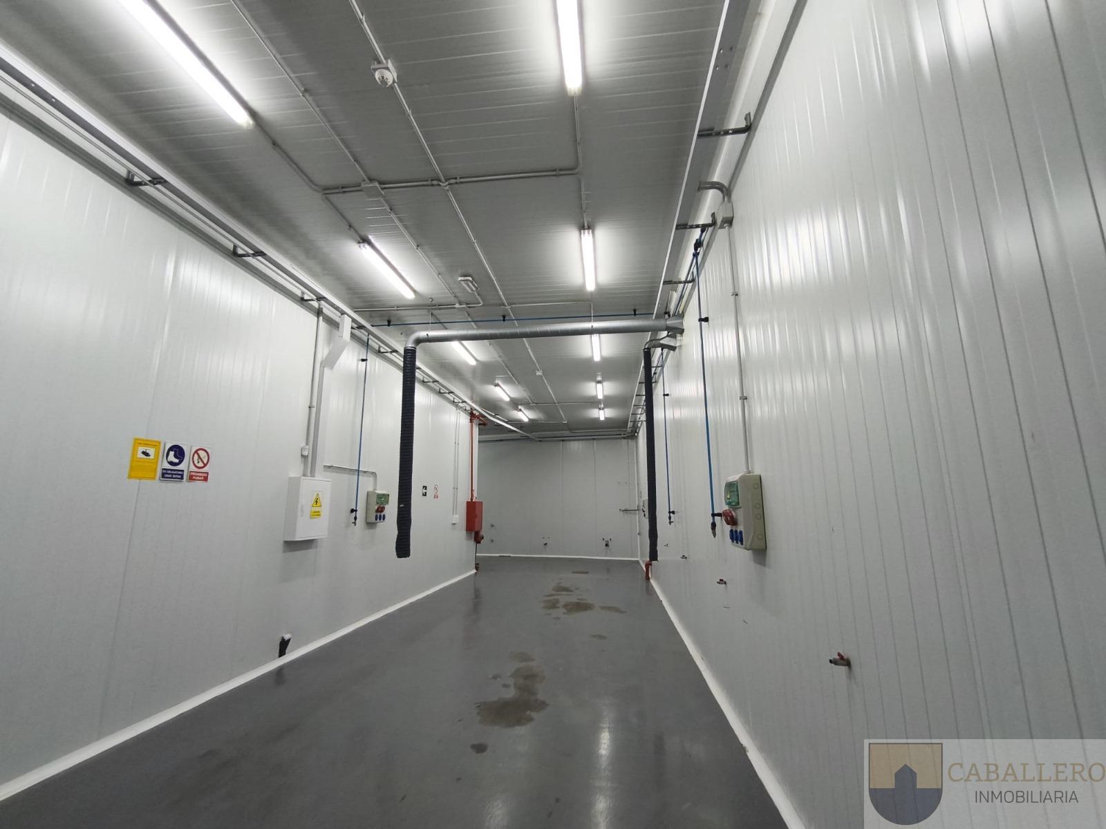For rent of industrial plant/warehouse in Murcia