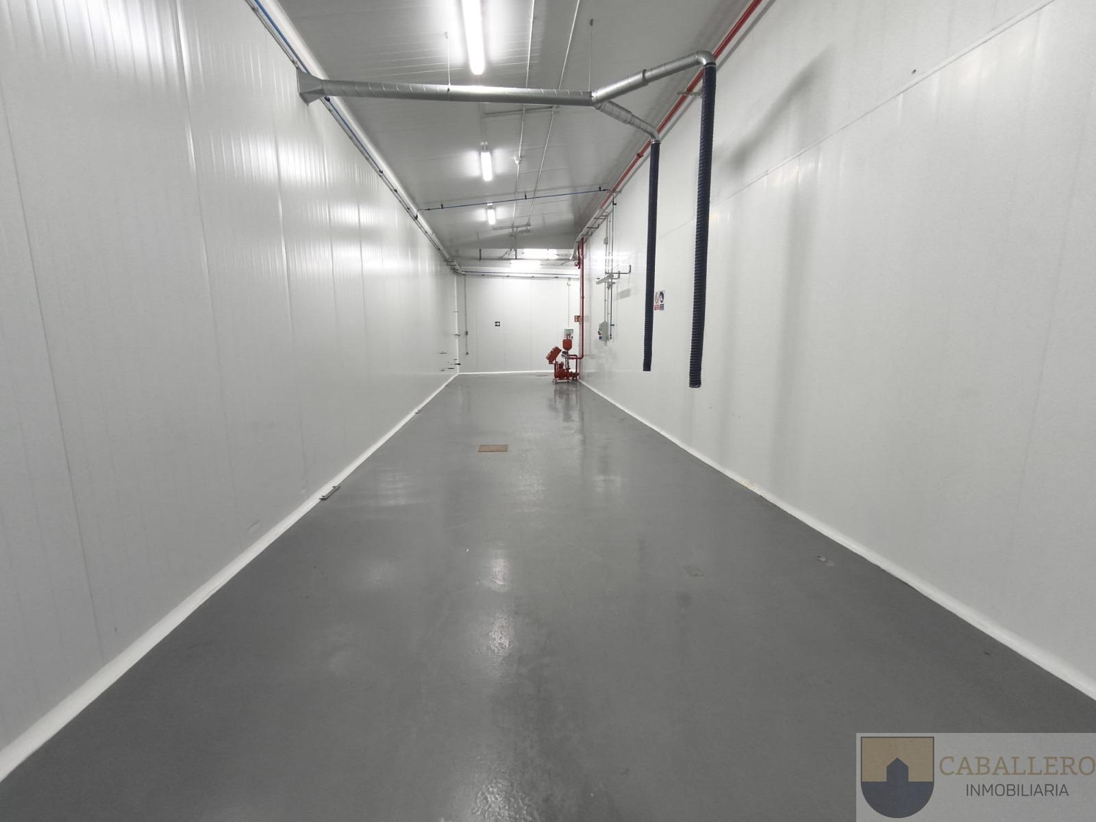 For rent of industrial plant/warehouse in Murcia