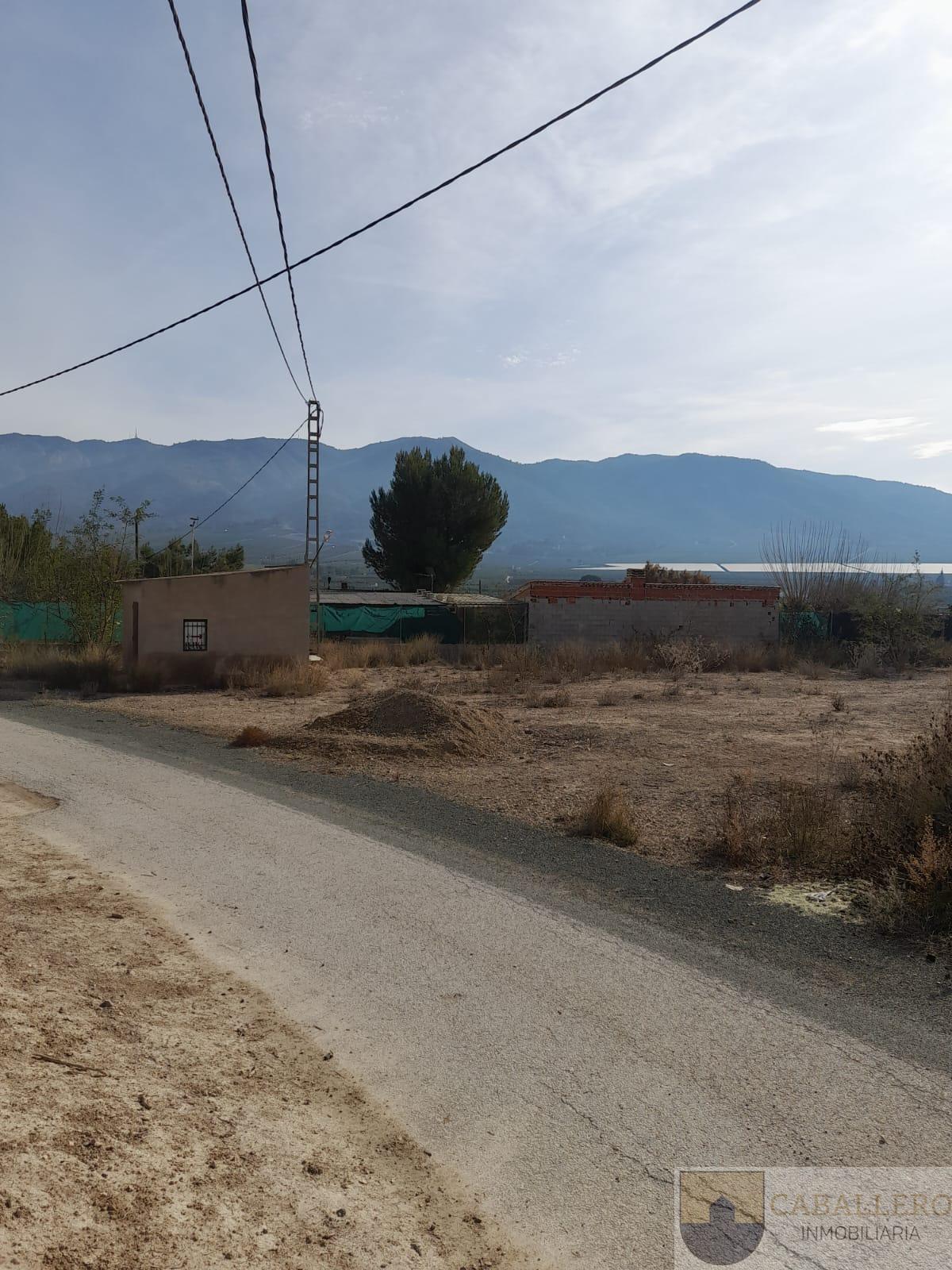 Venta de finca rústica en Murcia