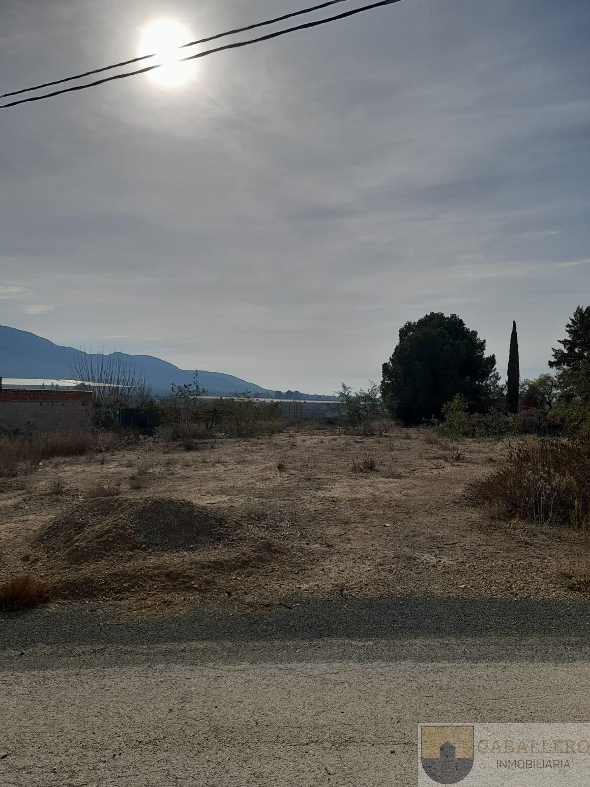 Venta de finca rústica en Murcia
