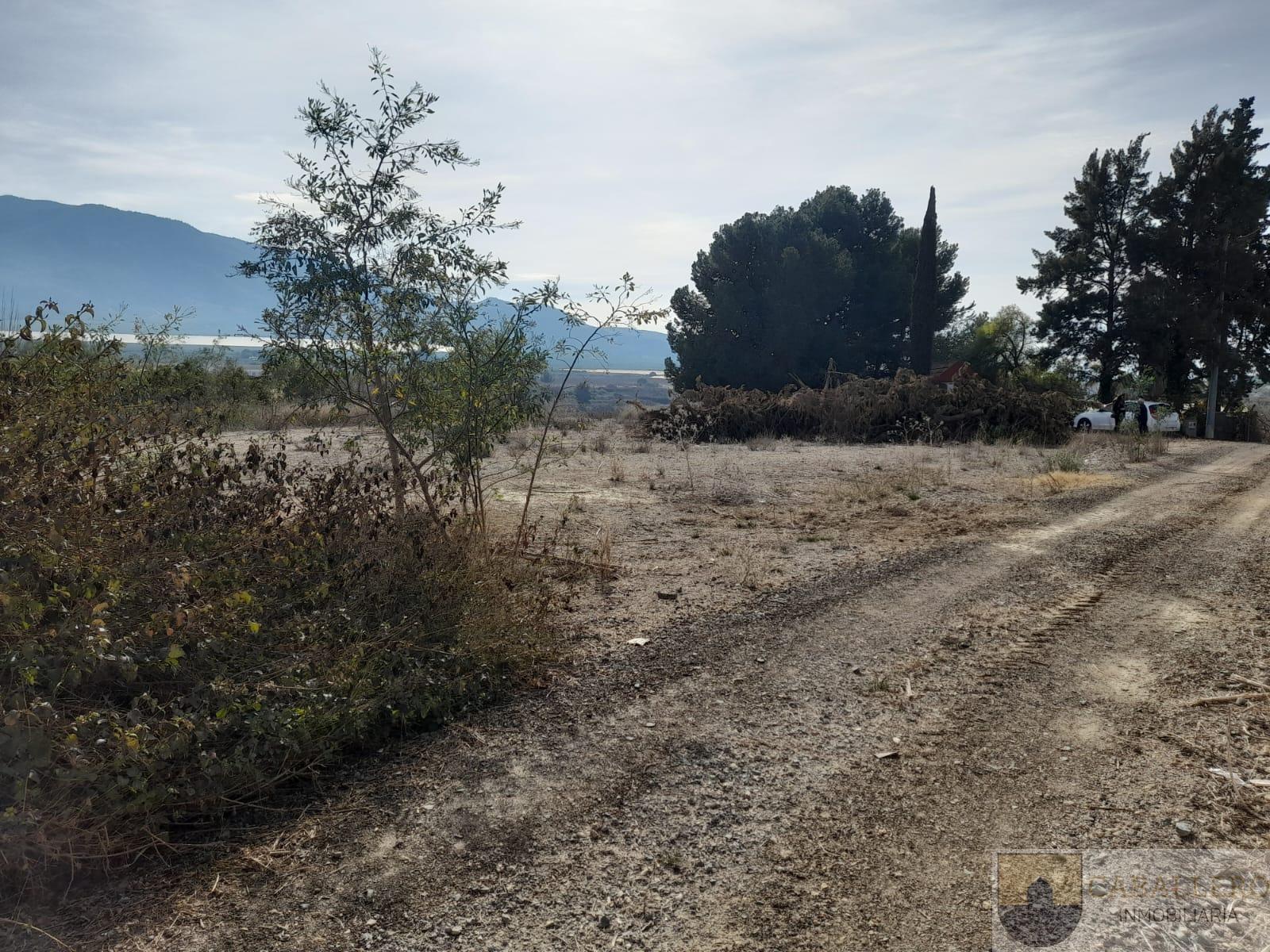 Venta de finca rústica en Murcia