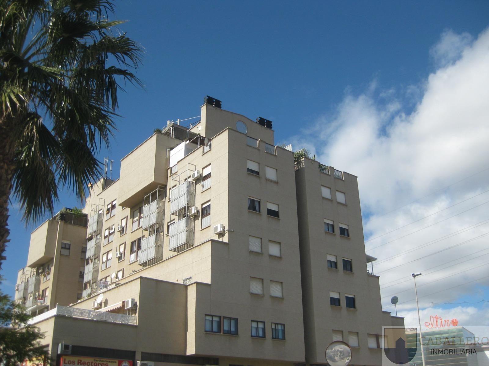 For rent of apartment in Murcia