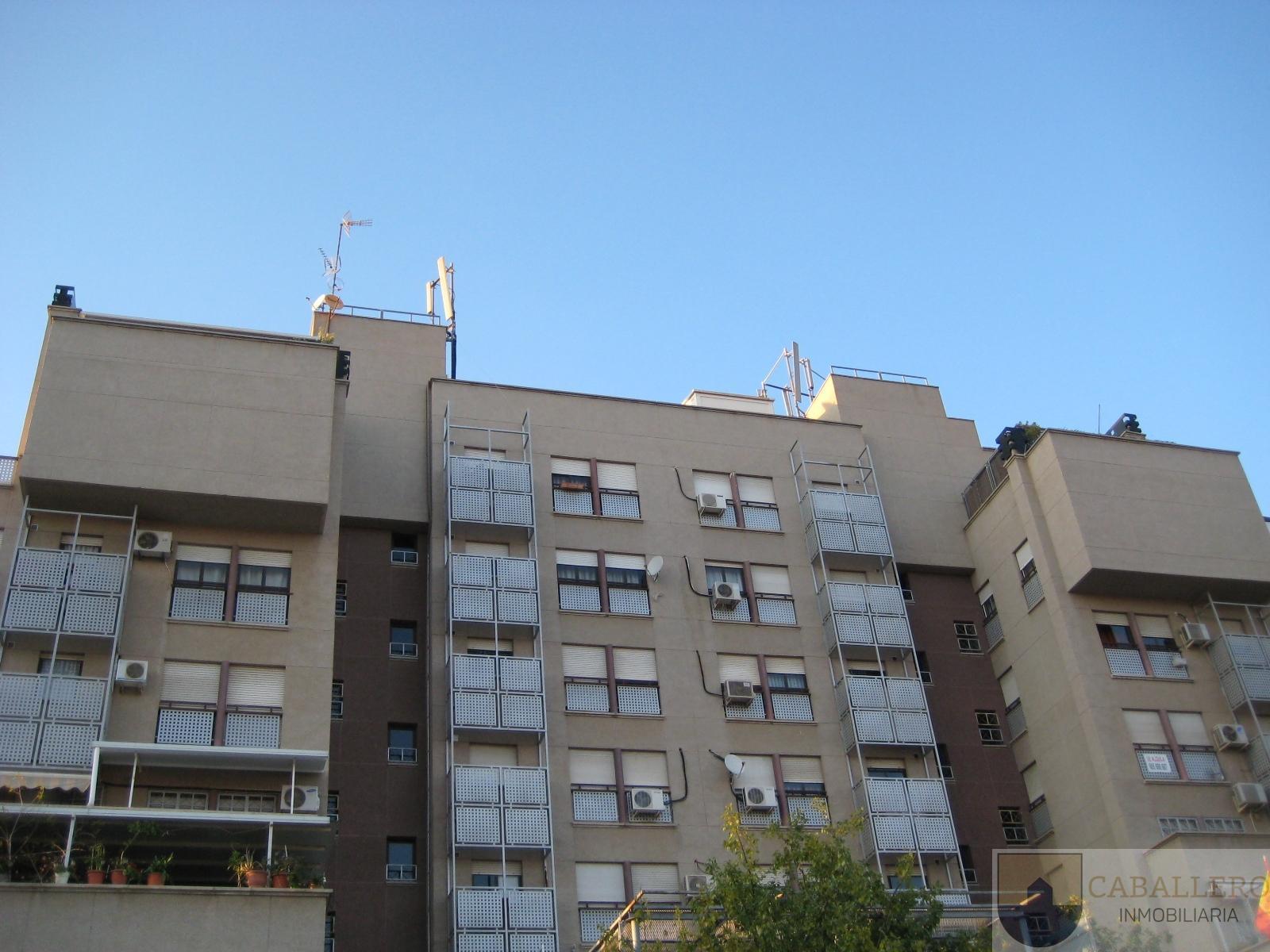 For rent of apartment in Murcia