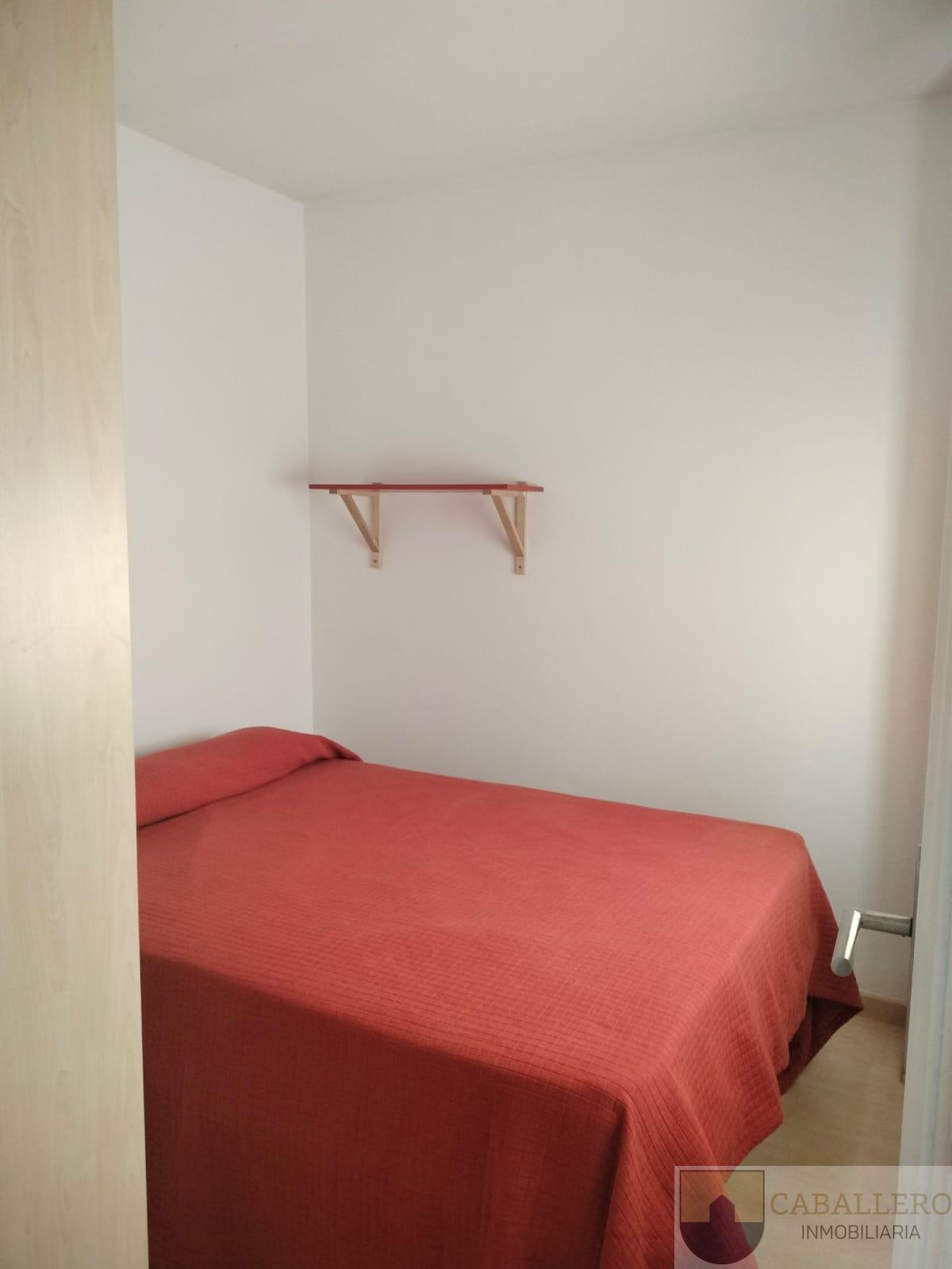 Alquiler de apartamento en Murcia Alquiler de apartamento en Murcia