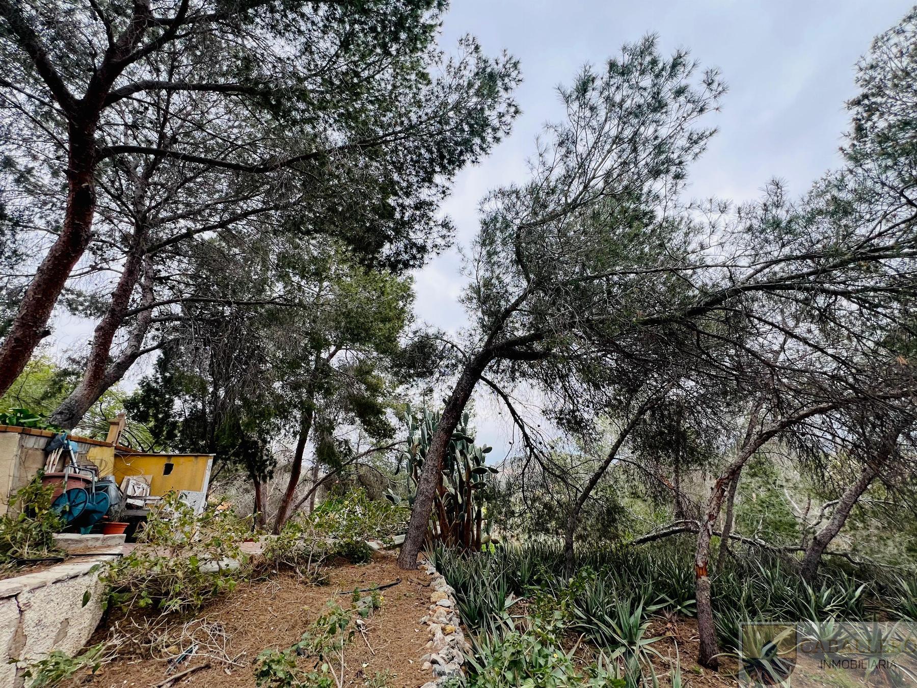 Venta de chalet en Murcia